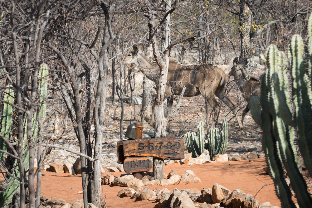 Ongava Tented Camp - All-Inclusive Okaukuejo Exterior foto